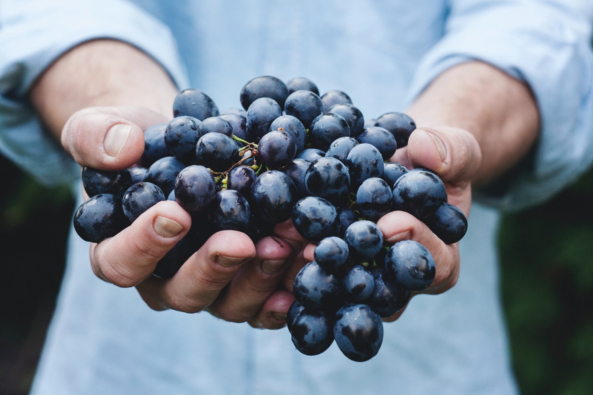 Recioto della Valpolicella