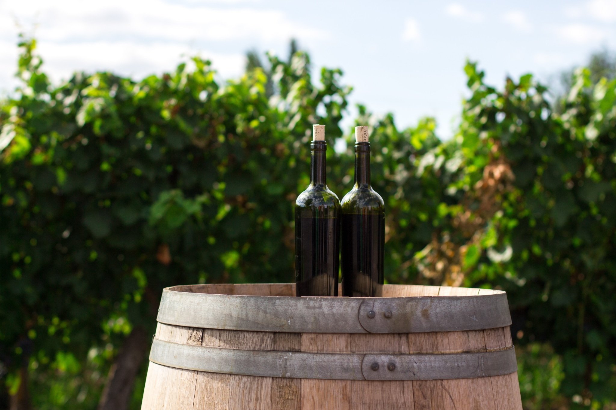 Valpolicella Superiore