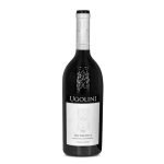 Valpolicella DOC Classico Superiore "San Michele" by Tenute Ugolini