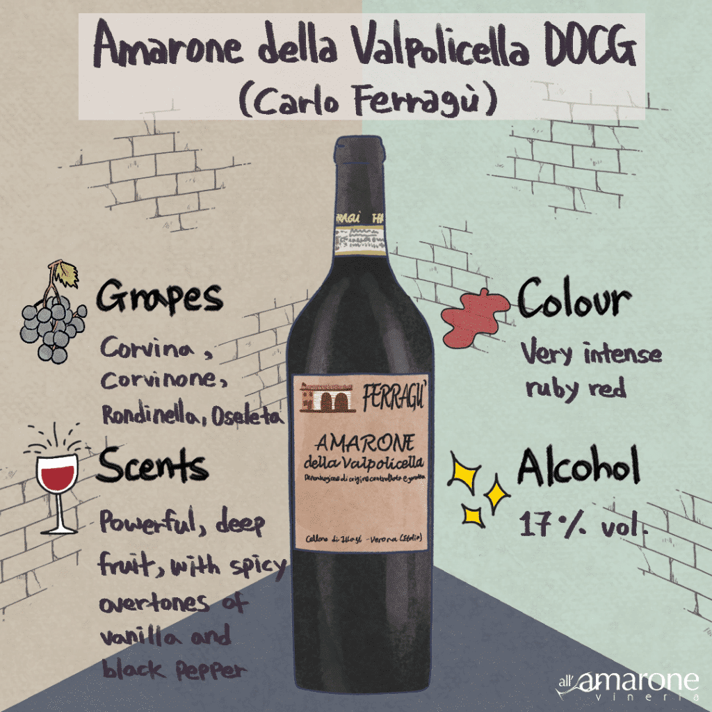 Amarone della Valpolicella DOCG von Ferragù