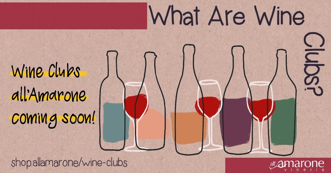 What are Wine Clubs?