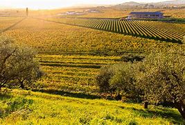 valpo landscape