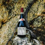 Amarone della Valpolicella DOCG 2018 - Image 4