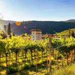 Amarone della Valpolicella DOCG 2018 - Image 5