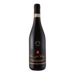 Amarone della Valpolicella DOCG by Famiglia Pasqua