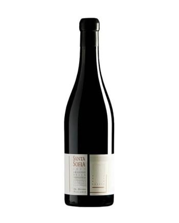 Amarone della Valpolicella DOC Classico “De Divino Palladio” 2003 | Santa Sofia